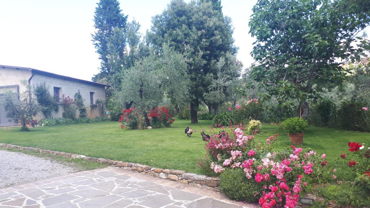 B&B L'Oliveto Lucignano Zewnętrze zdjęcie